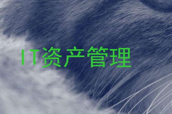 IT资产管理
