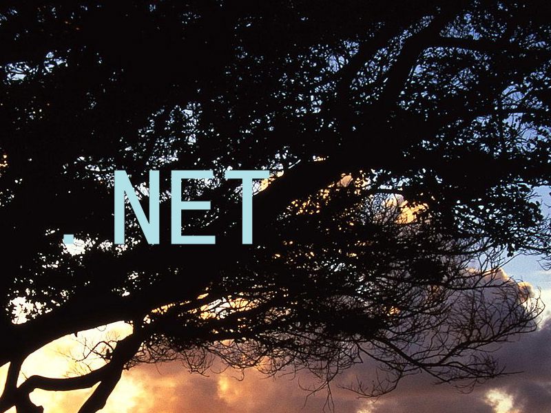 .NET