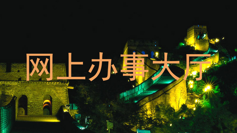 网上办事大厅