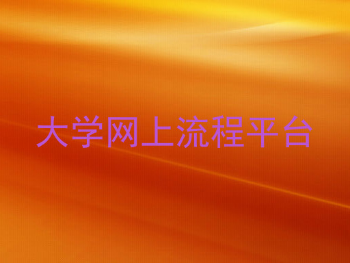 大学网上流程平台