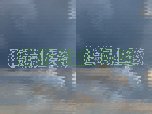 迎新就业系统