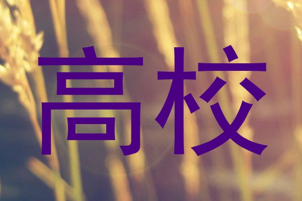 高校