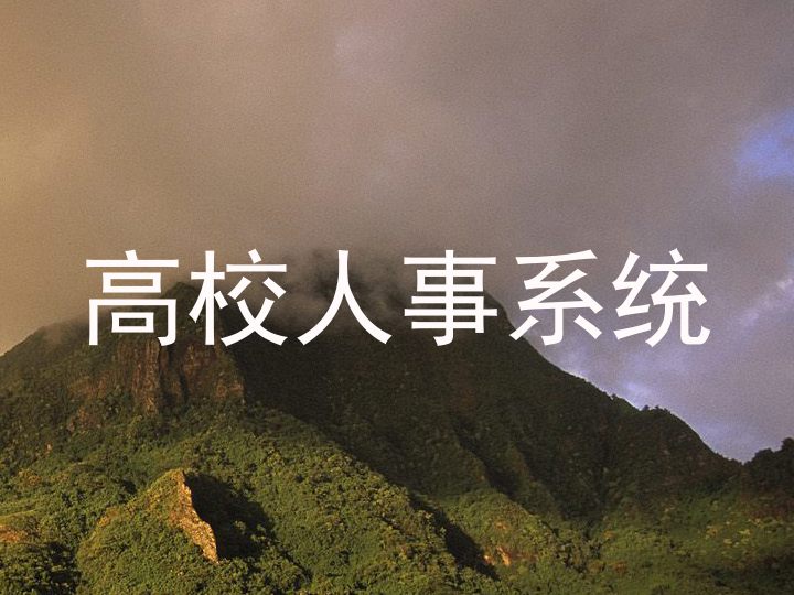 高校人事系统