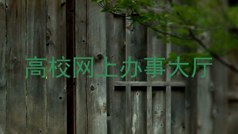 高校网上办事大厅