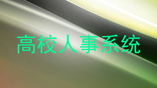 高校人事系统