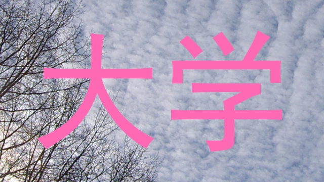 大学
