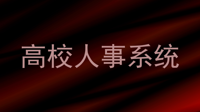 高校人事系统