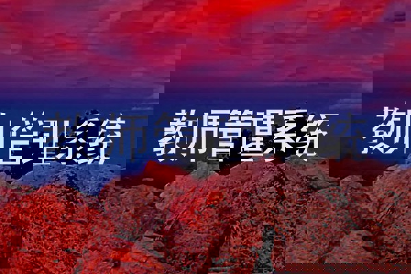 教师管理系统