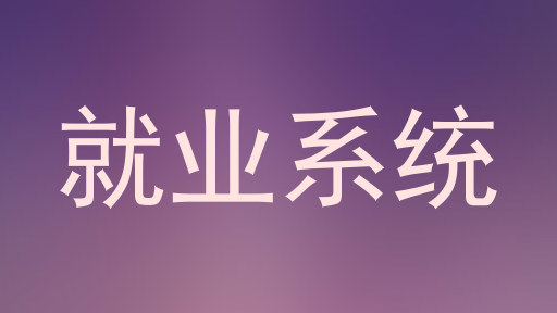 就业系统