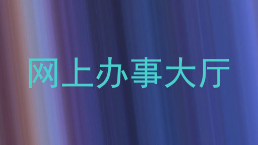 网上办事大厅
