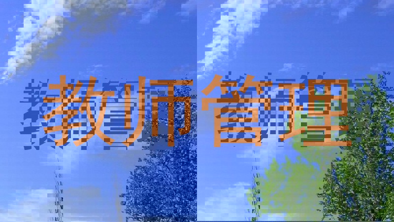 教师管理