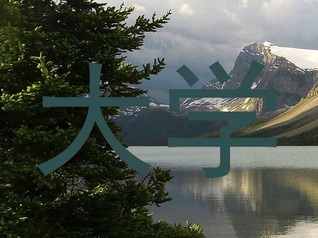 大学
