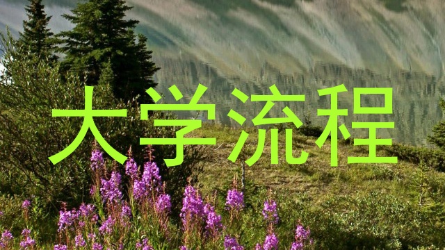 大学流程