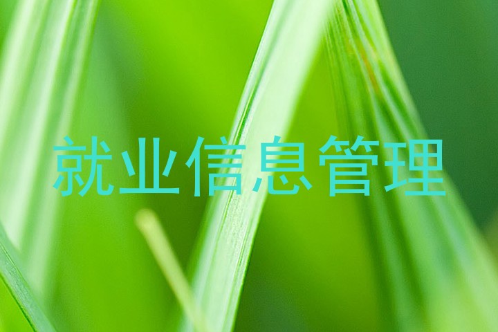 就业信息管理