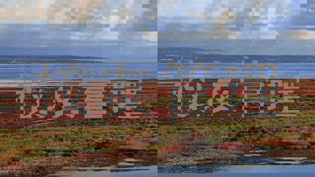 校友管理