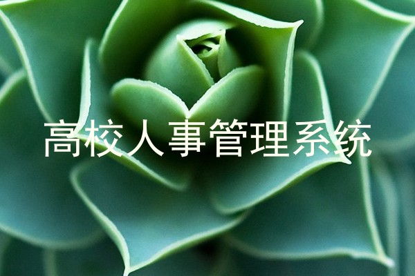 高校人事管理系统