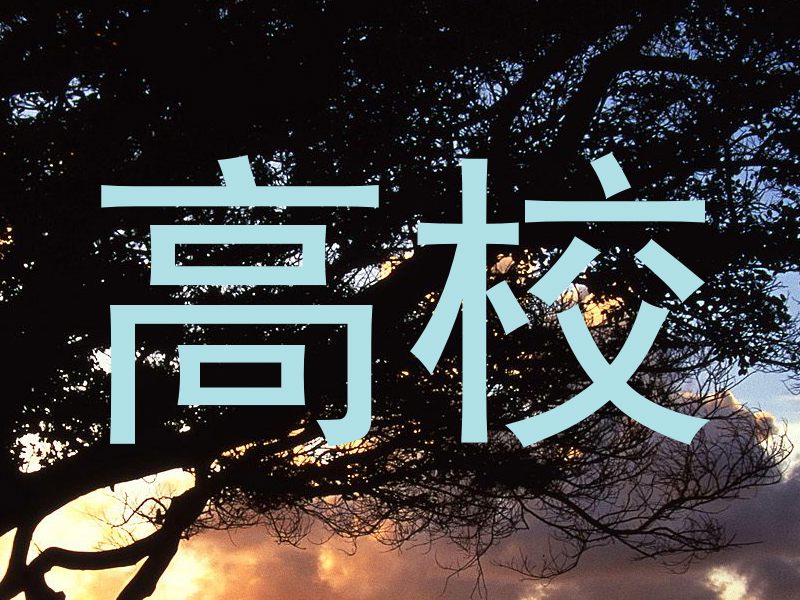 高校