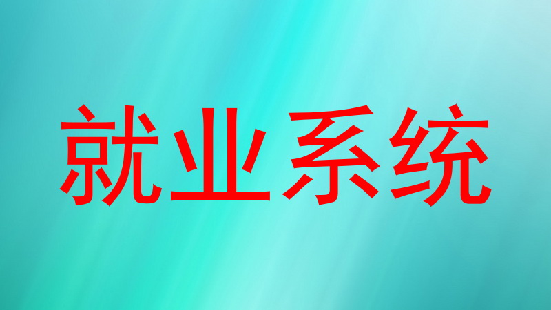 就业系统