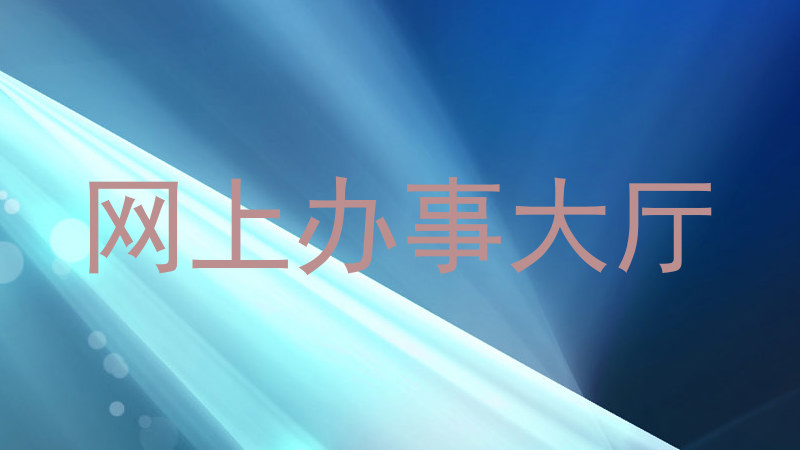 网上办事大厅