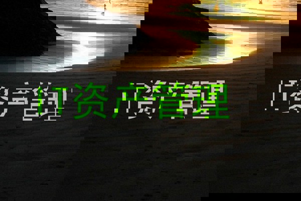 IT资产管理