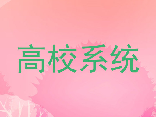 高校系统