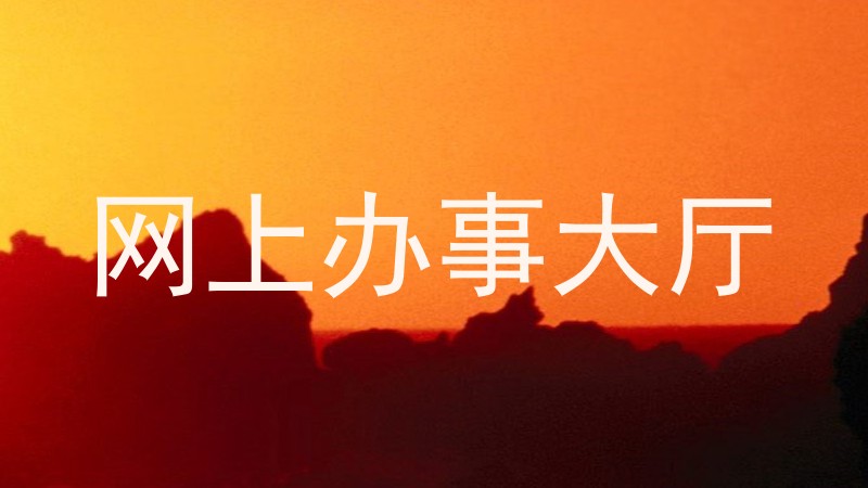 网上办事大厅