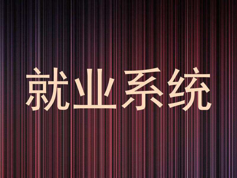 就业系统