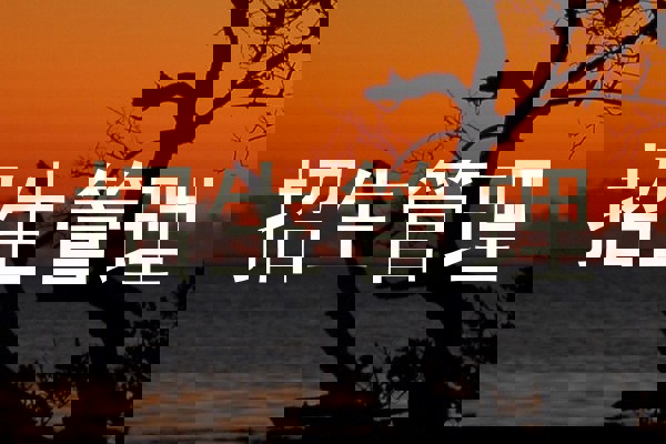招生管理