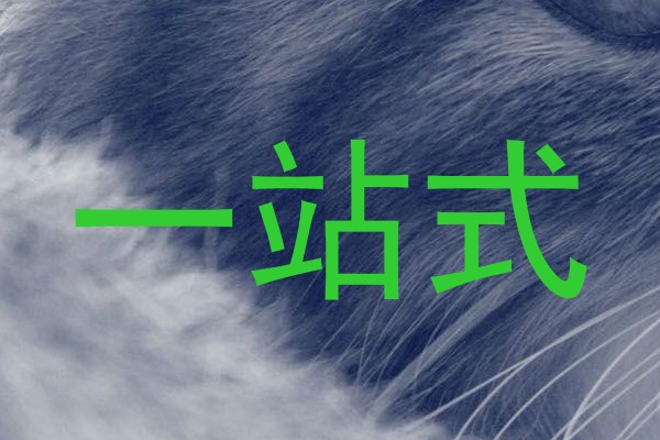 一站式