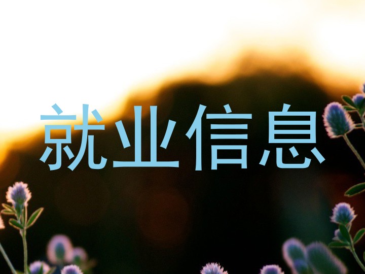 就业信息