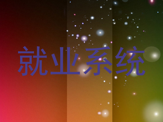 就业系统