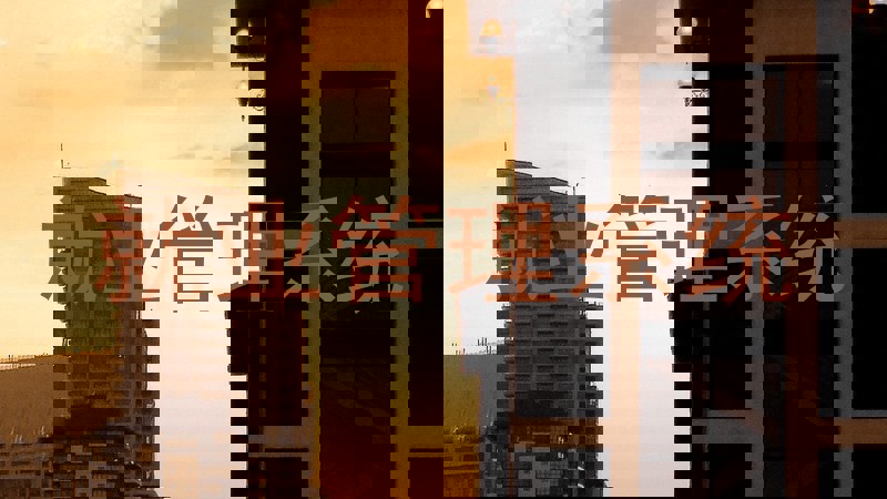 就业管理系统