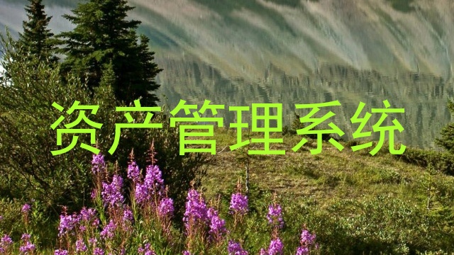 资产管理系统