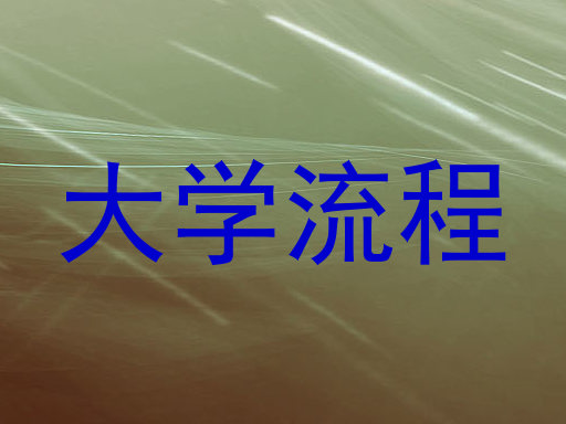 大学流程