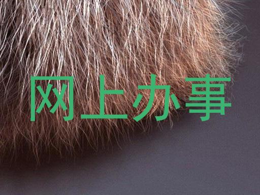 网上办事