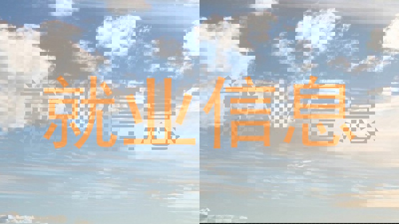 就业信息