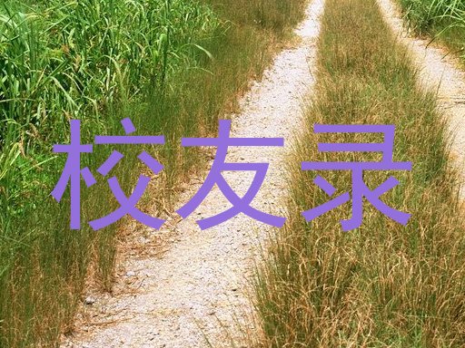 校友录