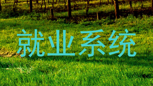 就业系统