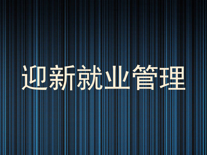 迎新就业管理