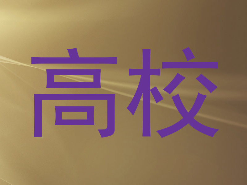 高校