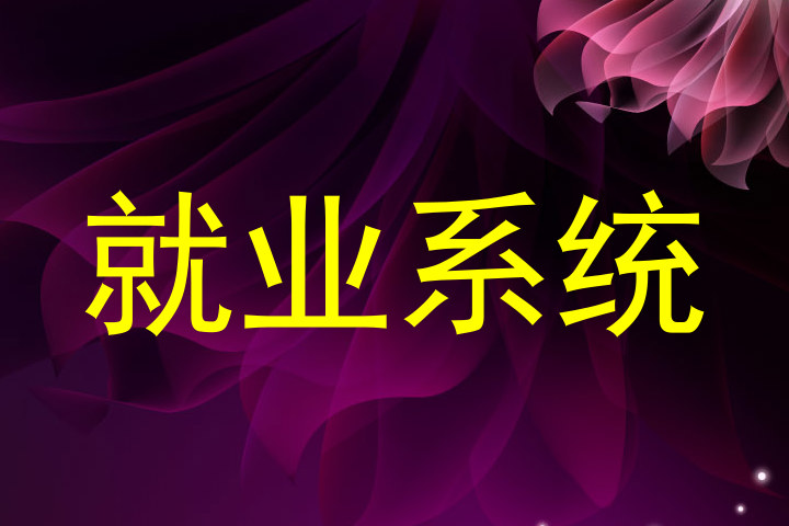 就业系统