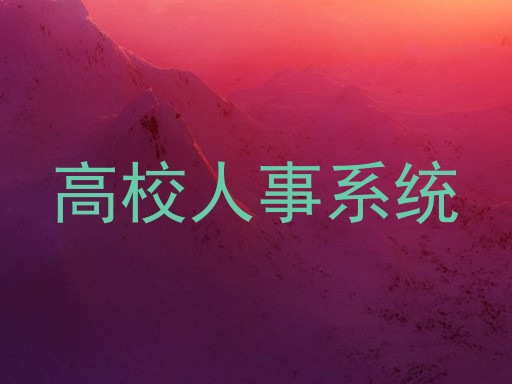 高校人事系统