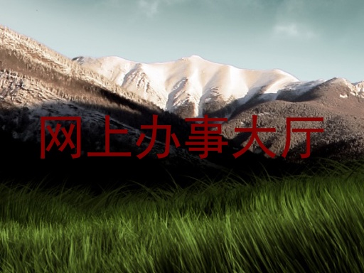 网上办事大厅