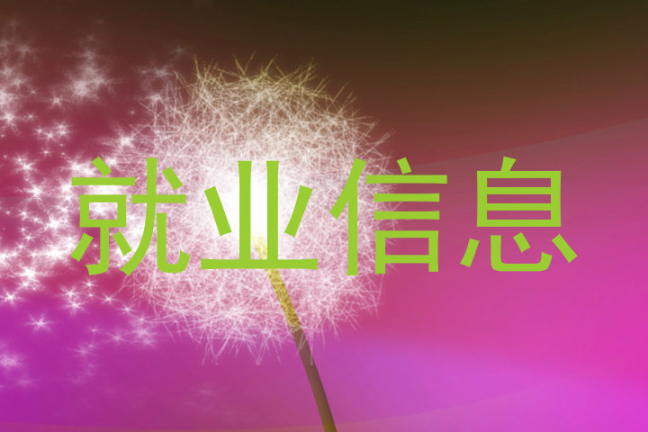 就业信息