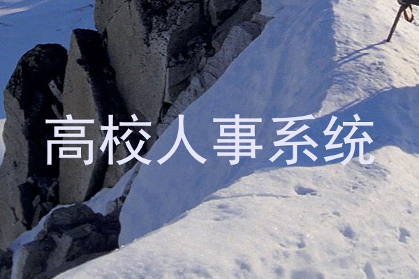 高校人事系统