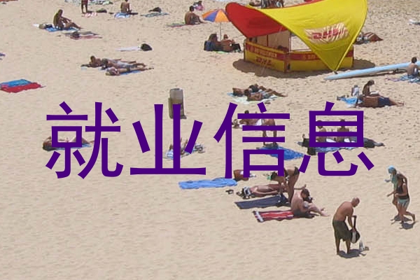 就业信息