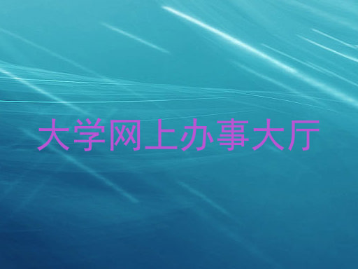 大学网上办事大厅
