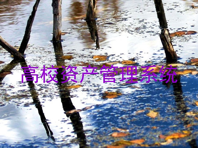 高校资产管理系统