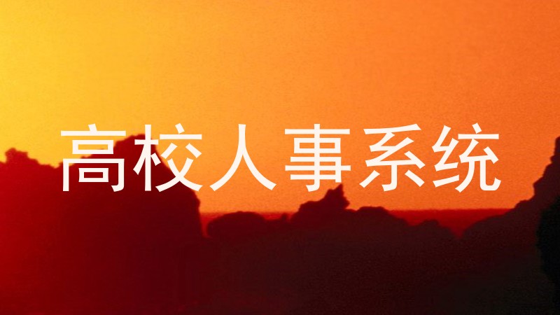 高校人事系统
