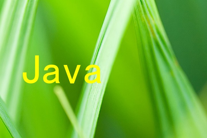Java